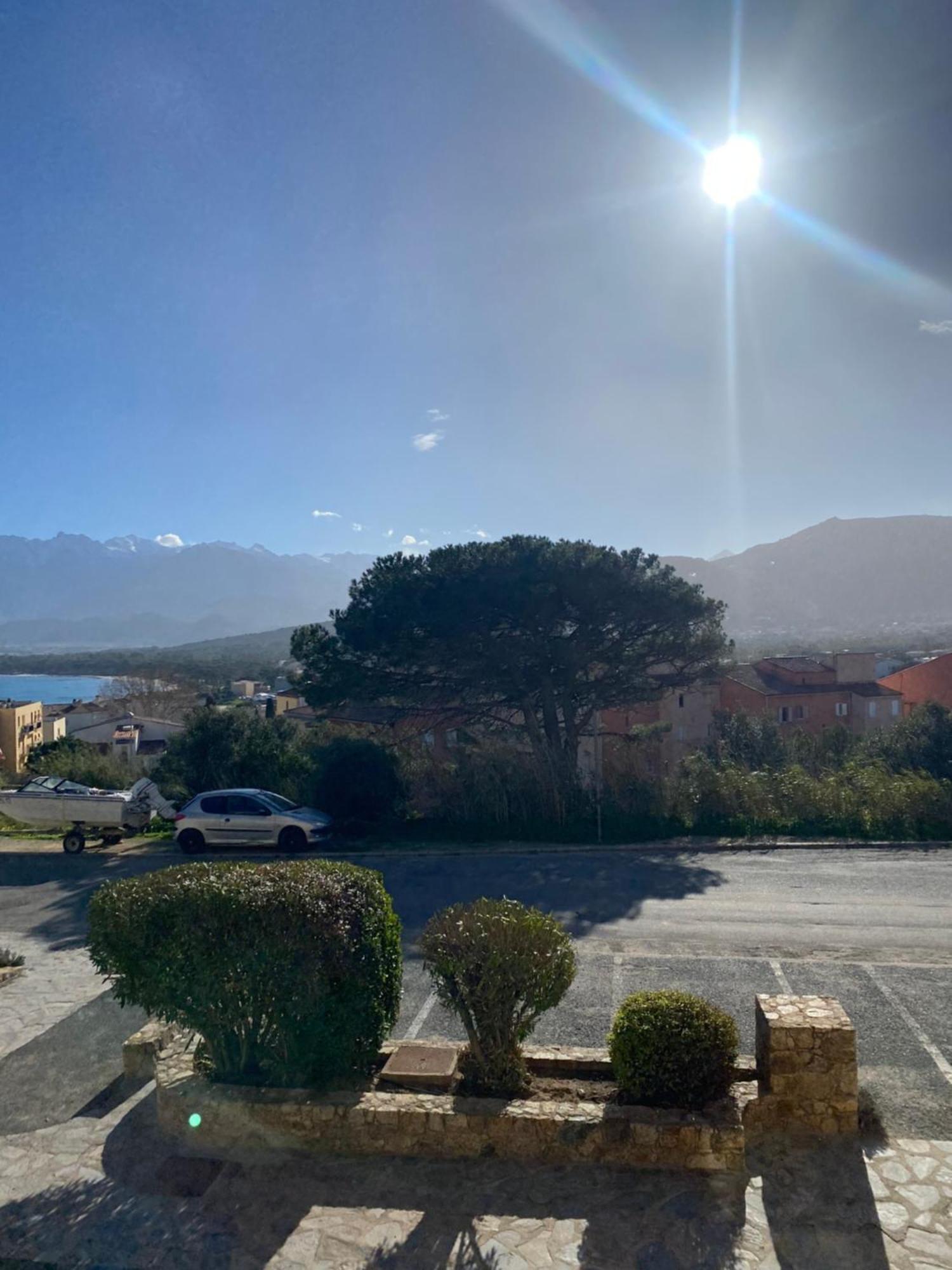 Apartamento Coeur De Calvi Calvi  Exterior foto